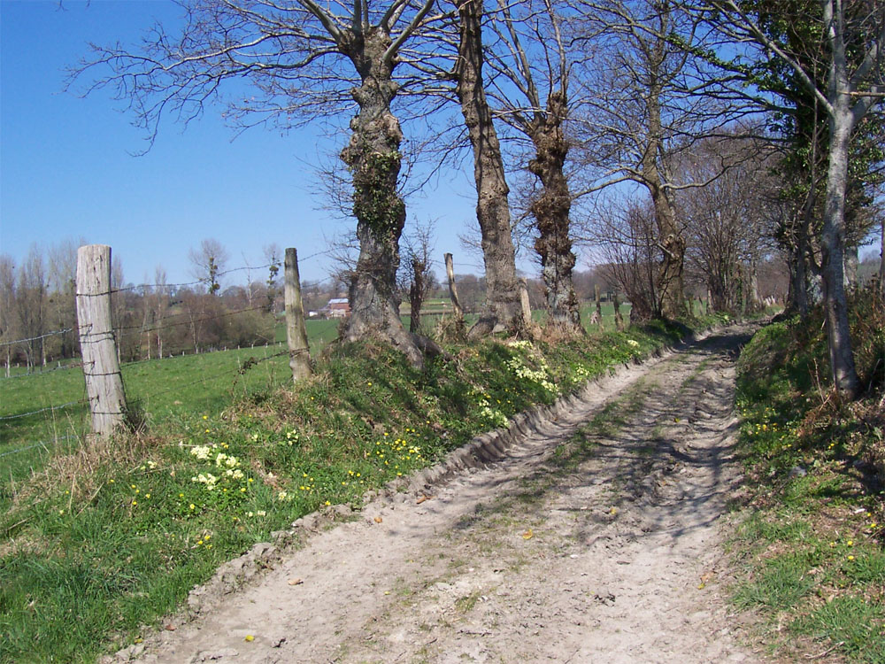 sentier